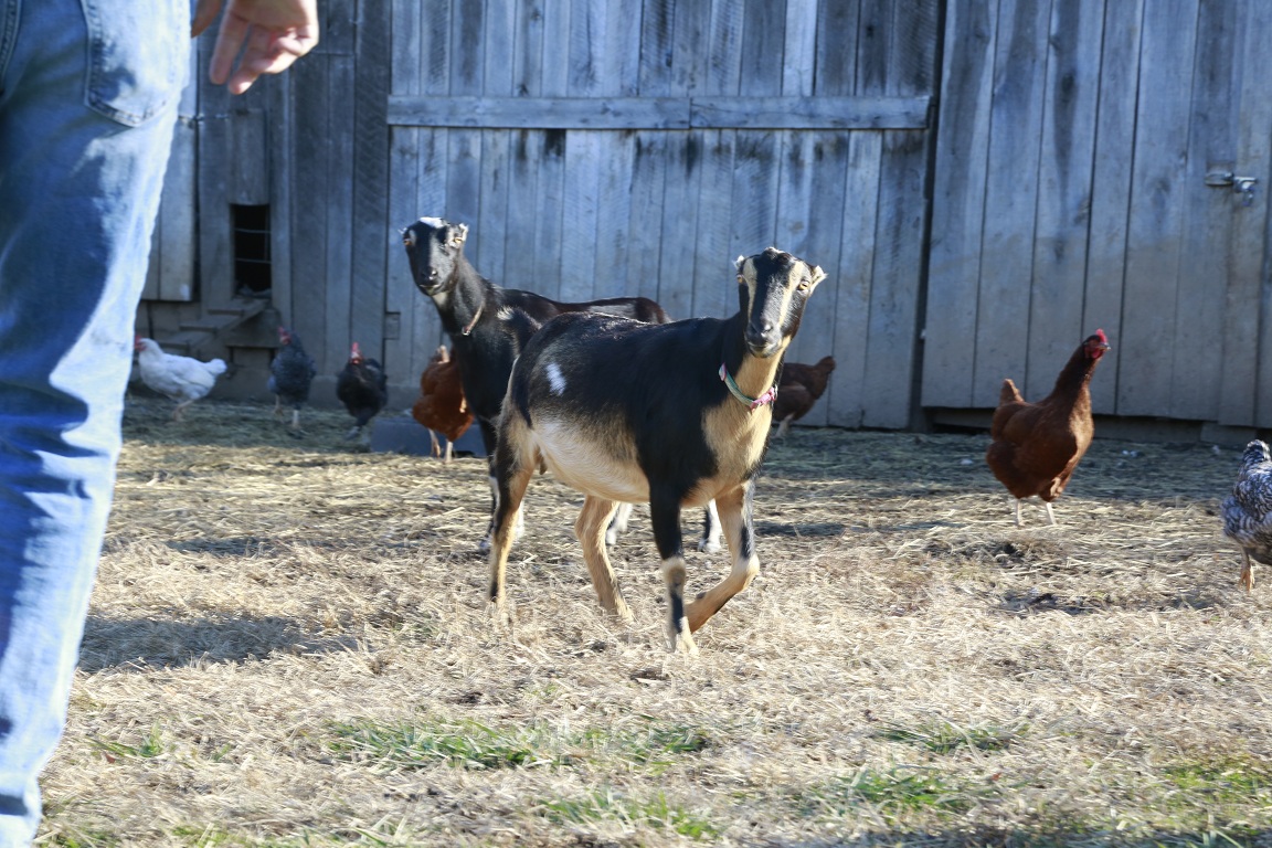 Location & Hours Crab Orchard Veterinary Services, Inc.