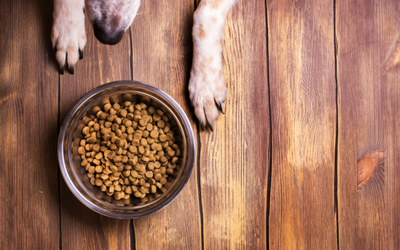 image for Pet Food and Disease? Cautions and Recalls